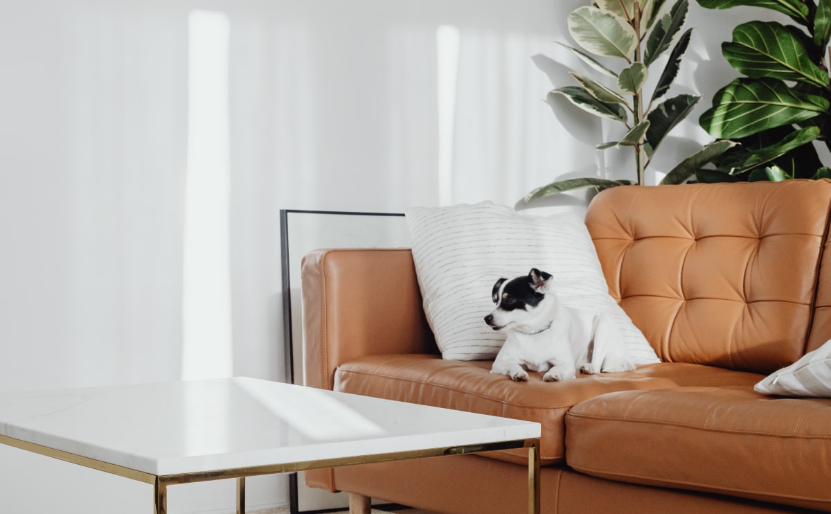 Wd Furniture Blog Opt | Alia Mobilya