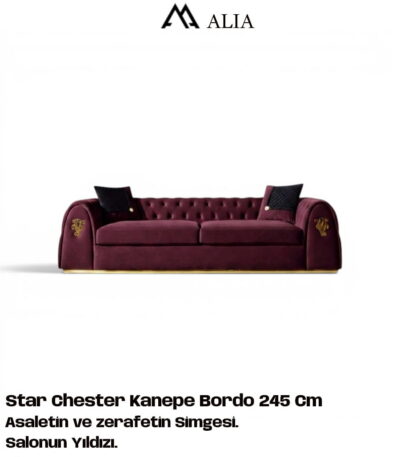 star-chester-kanepe-sofa-koltuk-takimi-modern-lüks-bordo-gold-detayli-alia-mobilya