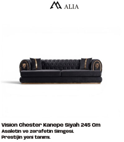 vision-chester-kanepe-sofa-koltuk-takimi-modern-lüks-siyah-paslanmaz-metal-aynali-alia-mobilya