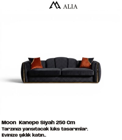 moon-kanepe-sofa-koltuk-takimi-modern-lüks-siyah-gold-paslanmaz-metal-alia-mobilya